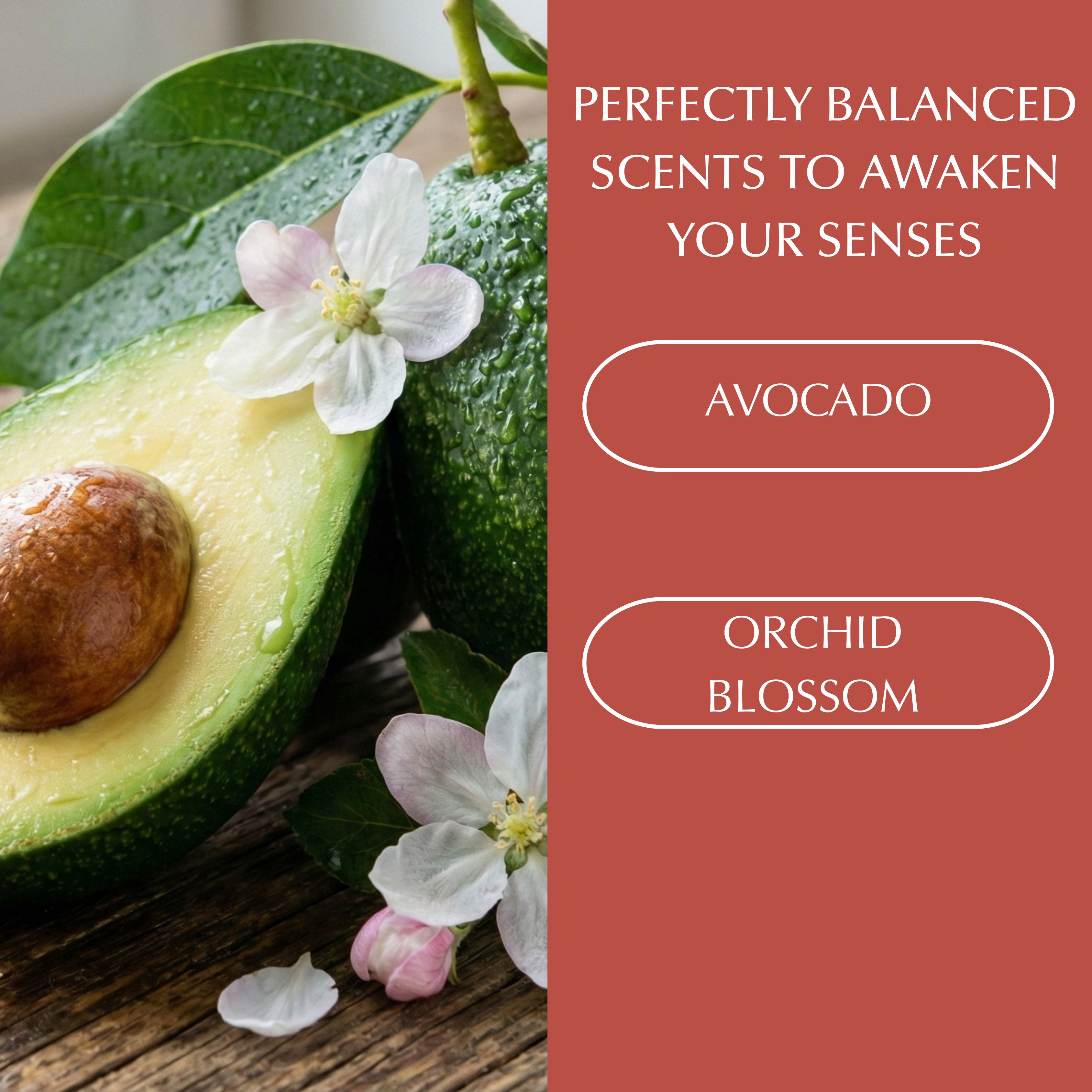 Collagen Hydrating Body Wash With Avocado