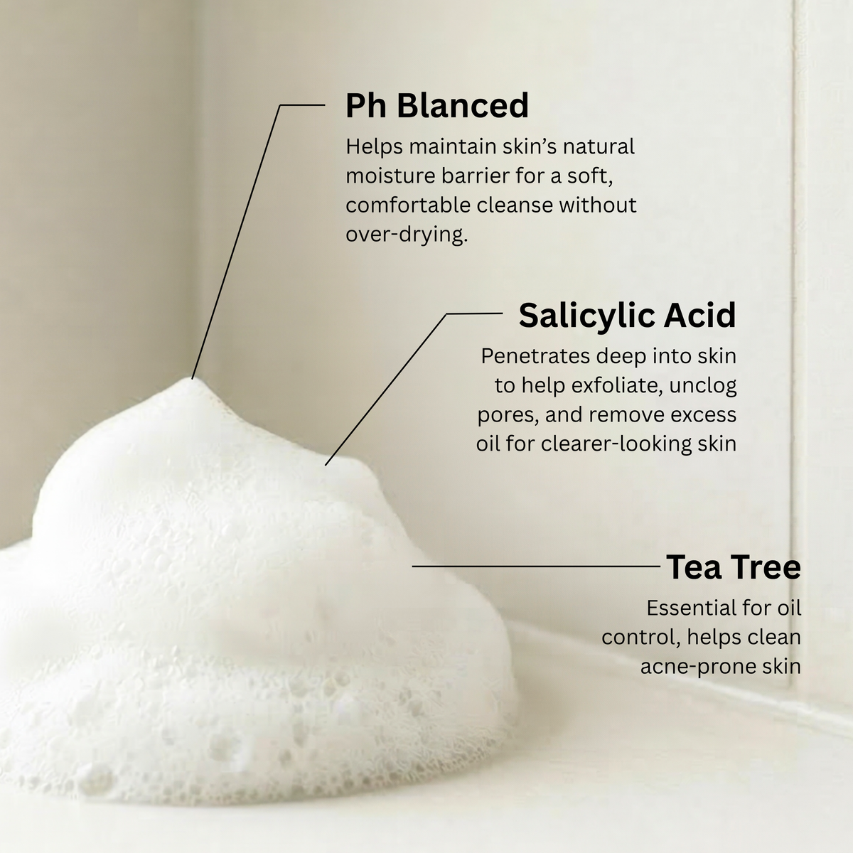 Tea Tree + Salicylic Acid & Foaming Facial Cleanser w/Brush